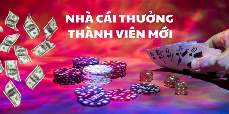 Chính sách ưu đãi dành riêng hội viên mới